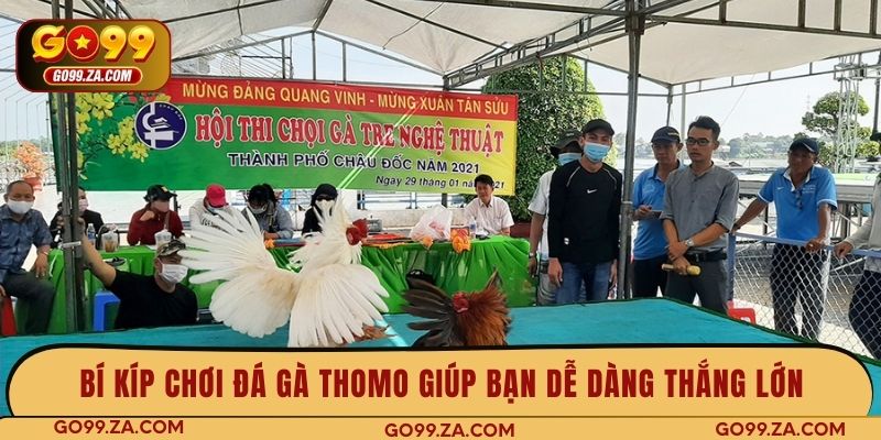Bí kíp chơi đá gà Thomo giúp bạn dễ dàng thắng lớn