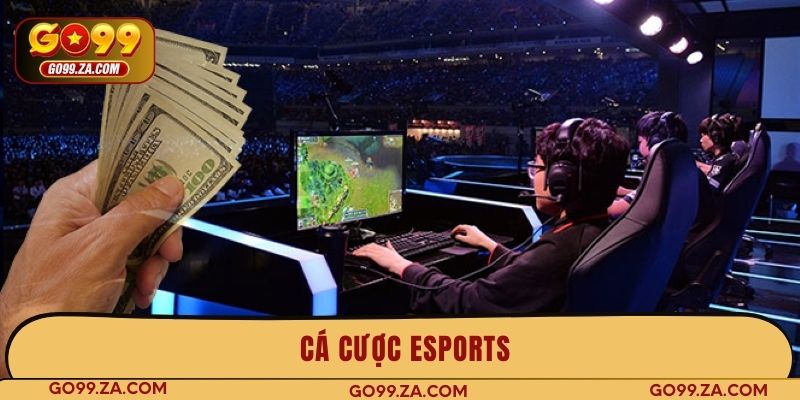 cá cược esports