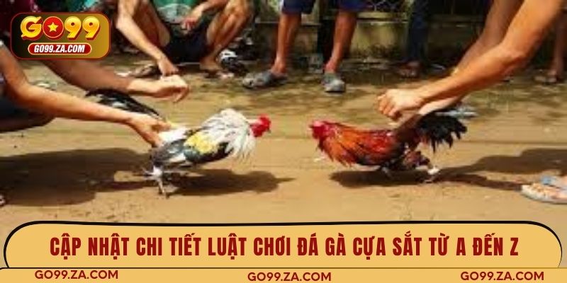 Cập nhật chi tiết luật chơi đá gà cựa sắt từ A đến Z