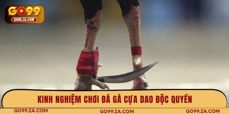 Kinh nghiệm chơi đá gà cựa dao độc quyền