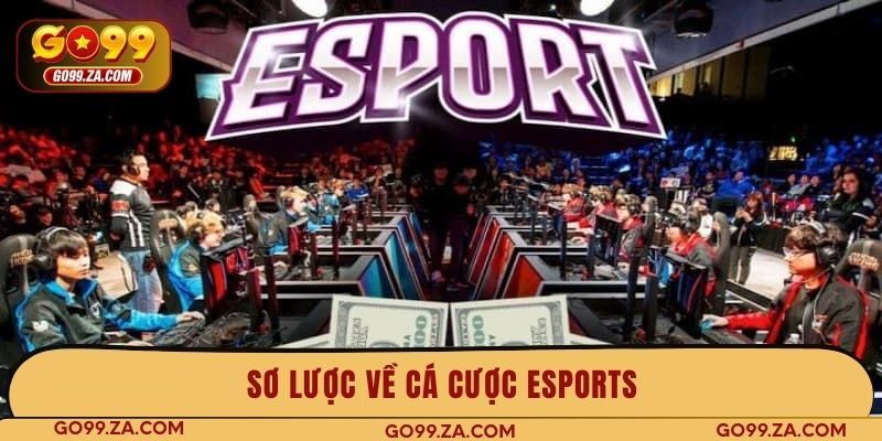 Sơ lược về cá cược Esports