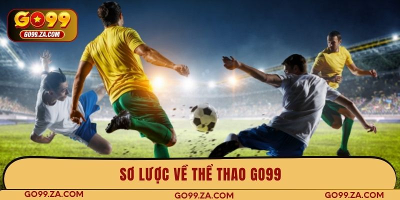 Sơ lược về thể thao GO99